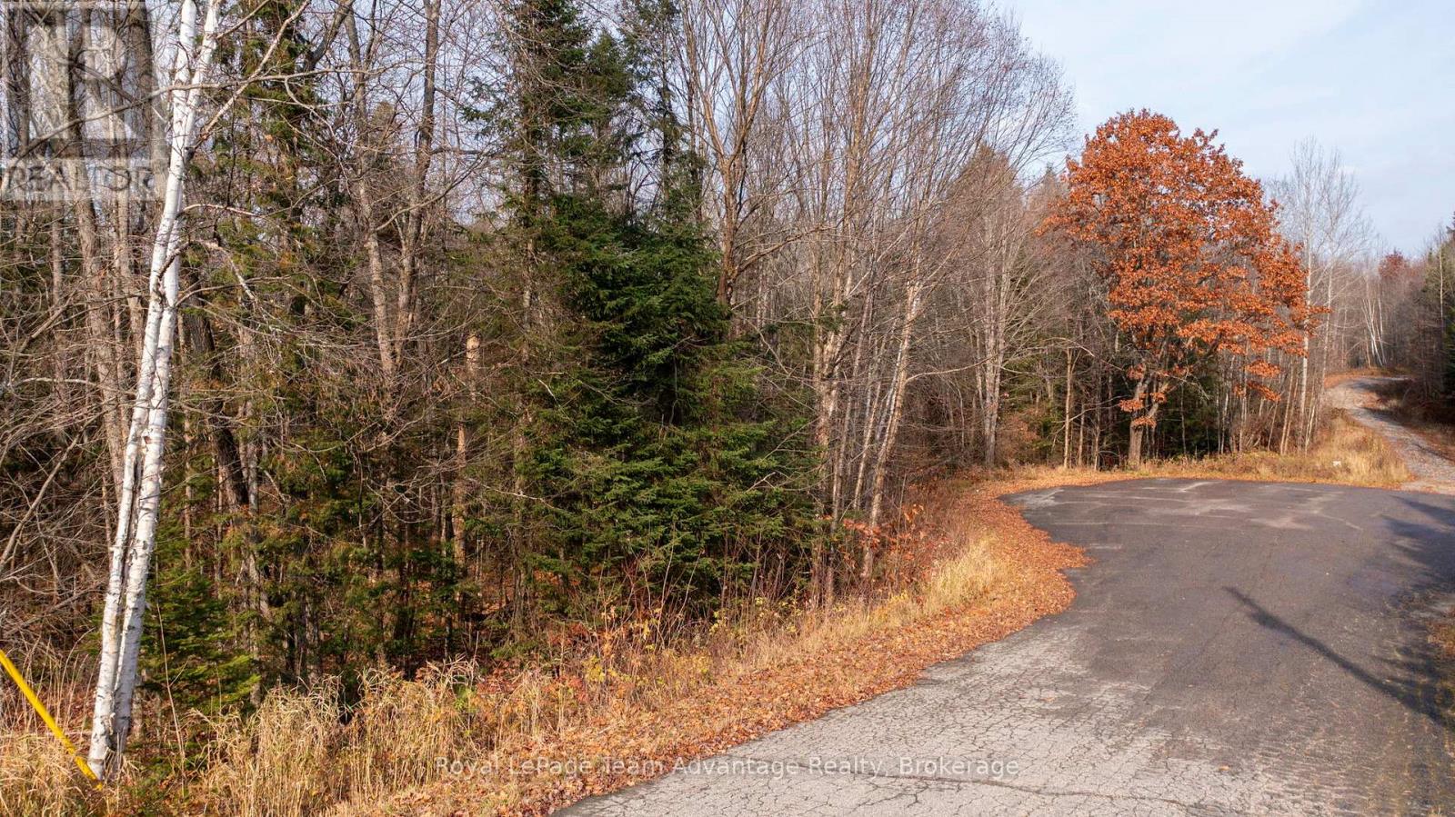 181 Clarkes Lane, Huntsville, Ontario  P0B 1M0 - Photo 3 - X13036492