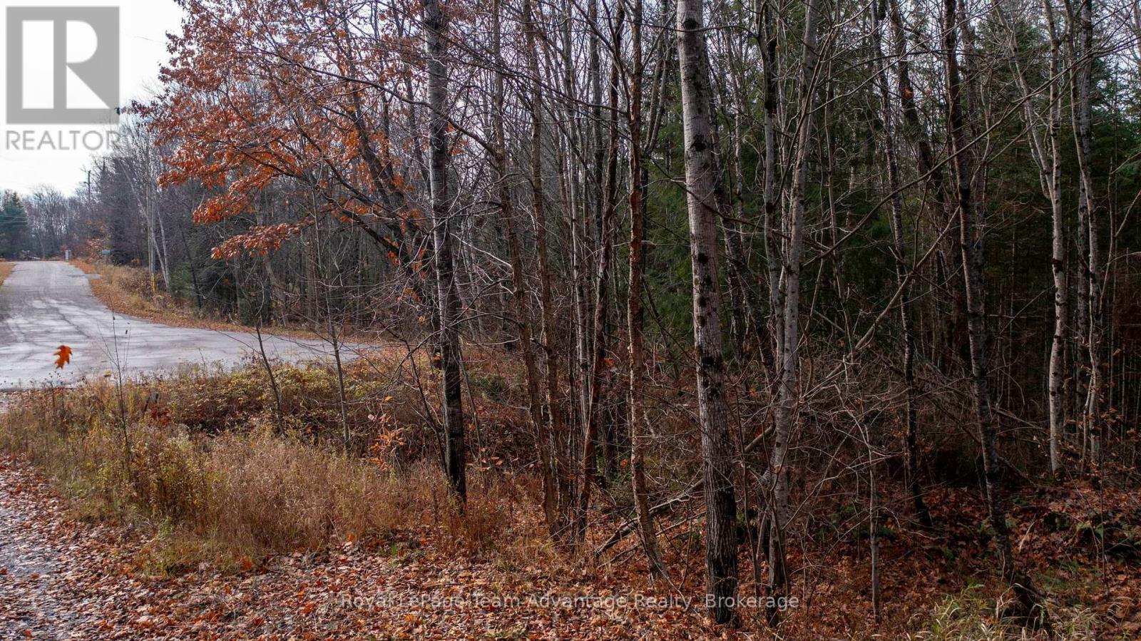 181 Clarkes Lane, Huntsville, Ontario  P0B 1M0 - Photo 4 - X13036492