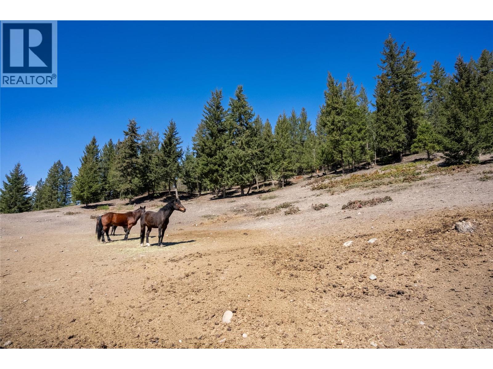 2865 Hale-Vinnie Road, Kamloops, British Columbia  V0E 3E0 - Photo 47 - 10377704