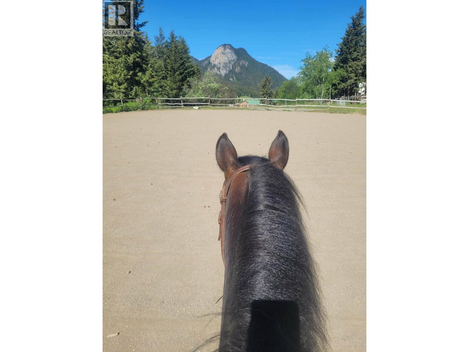 2865 Hale-Vinnie Road, Kamloops, British Columbia  V0E 3E0 - Photo 81 - 10377704