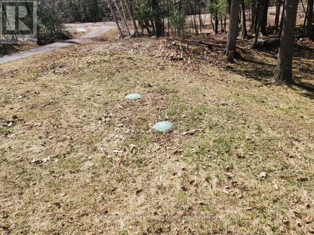 52 Ouellette Road, East Ferris, Ontario  P0H 1K0 - Photo 39 - X13026124