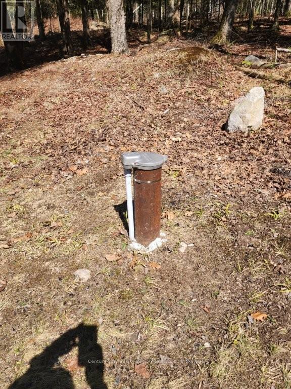 52 Ouellette Road, East Ferris, Ontario  P0H 1K0 - Photo 38 - X13026124