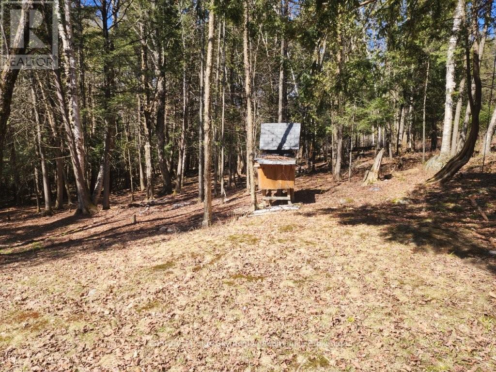 52 Ouellette Road, East Ferris, Ontario  P0H 1K0 - Photo 37 - X13026124