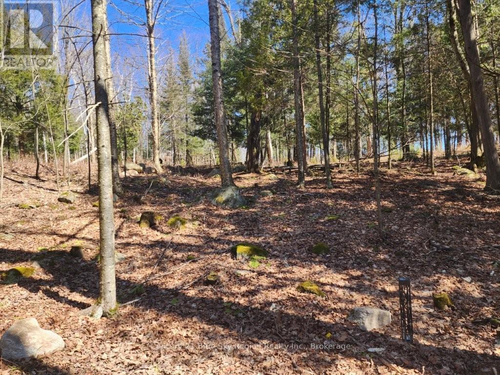 52 Ouellette Road, East Ferris, Ontario  P0H 1K0 - Photo 36 - X13026124