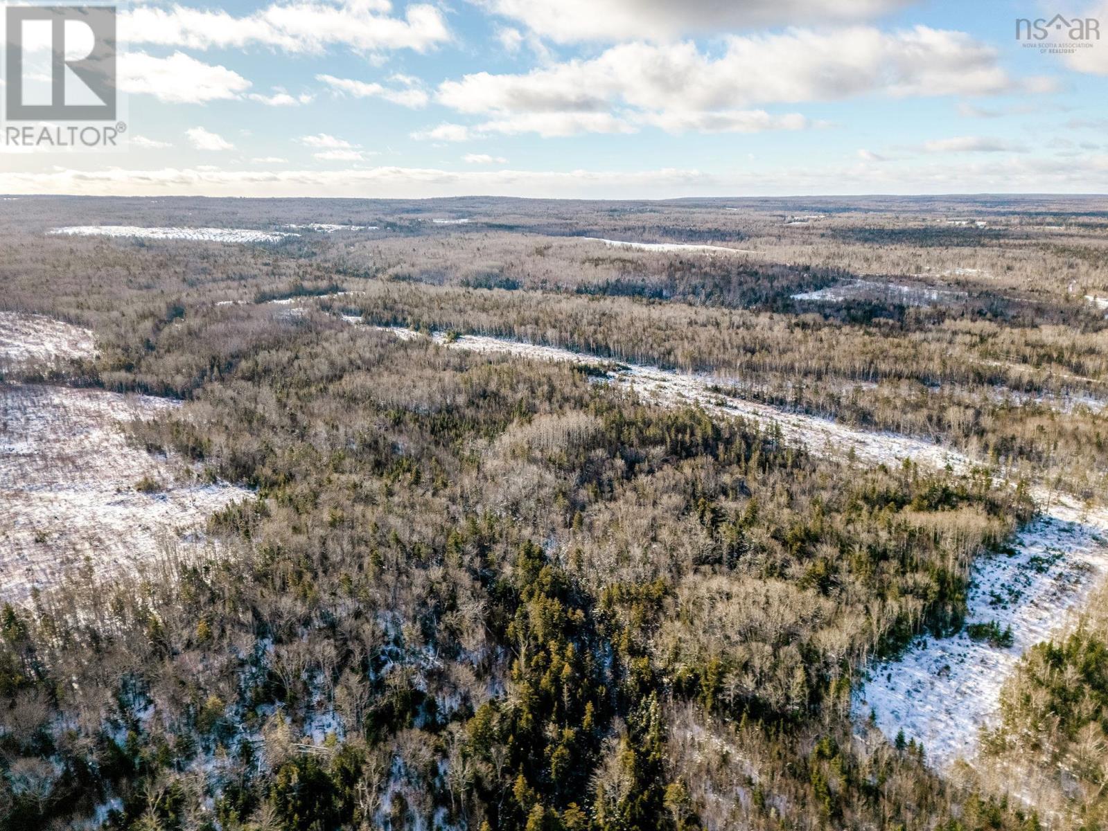 Sgm-1por Pelton Mountain Rd Lot Sgm-1por, Chipman Brook, Nova Scotia  B4N 3V7 - Photo 9 - 202529595