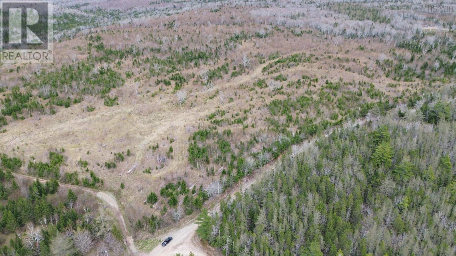 Acreage Mason Road, Glendale, Nova Scotia  B0E 3L0 - Photo 2 - 202509195