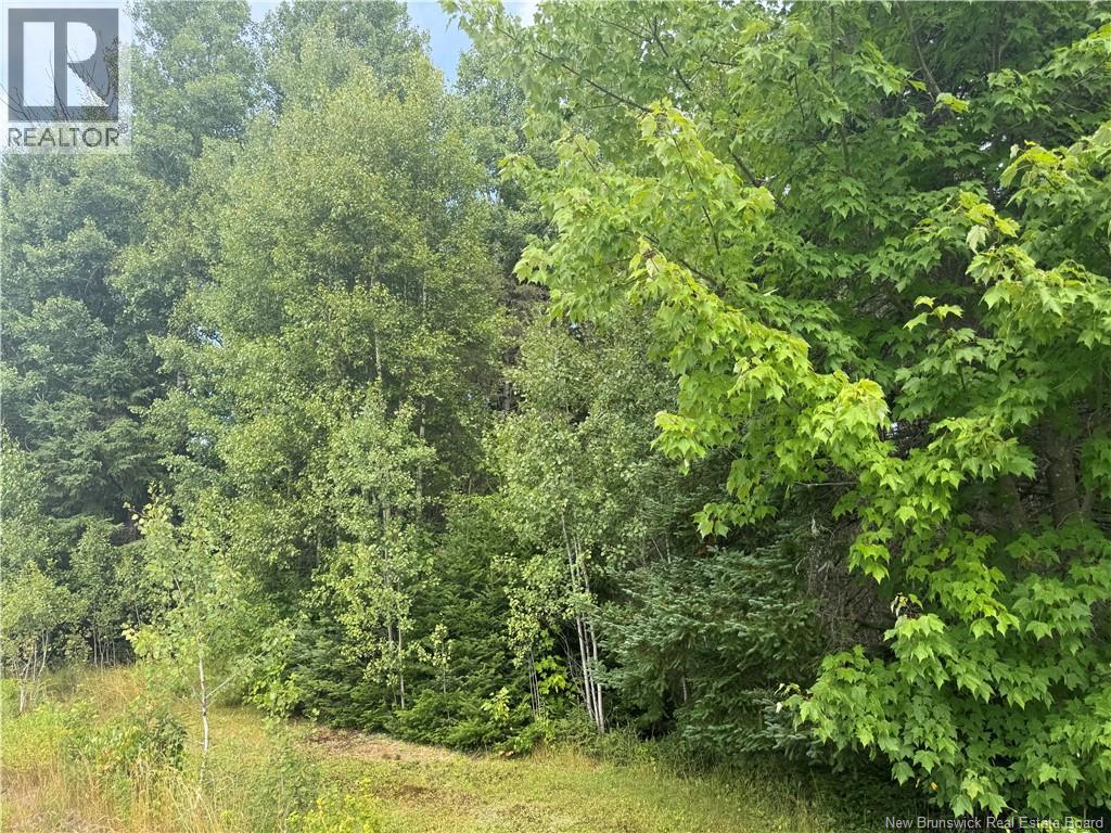 Lot Des Gallant, Saint-Ignace, New Brunswick  E4X 2E3 - Photo 12 - NB134787