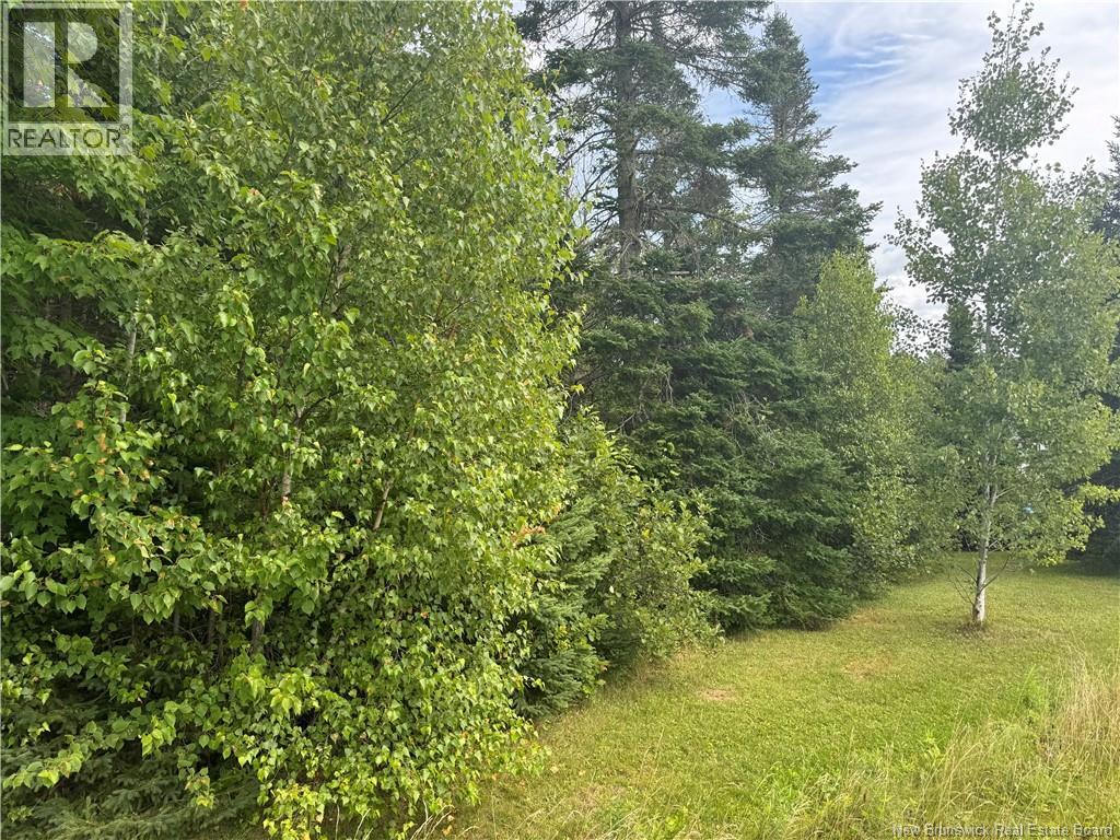Lot Des Gallant, Saint-Ignace, New Brunswick  E4X 2E3 - Photo 13 - NB134787
