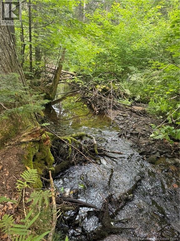 Lot Des Gallant, Saint-Ignace, New Brunswick  E4X 2E3 - Photo 5 - NB134787