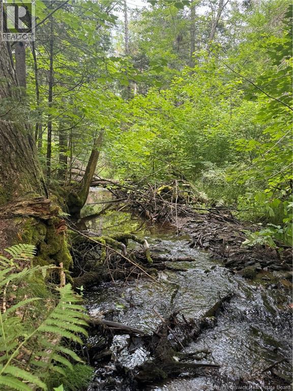 Lot Des Gallant, Saint-Ignace, New Brunswick  E4X 2E3 - Photo 6 - NB134787