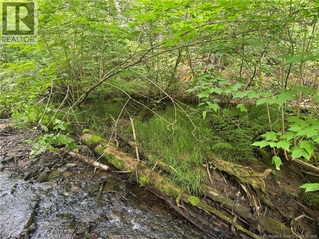 Lot Des Gallant, Saint-Ignace, New Brunswick  E4X 2E3 - Photo 7 - NB134787
