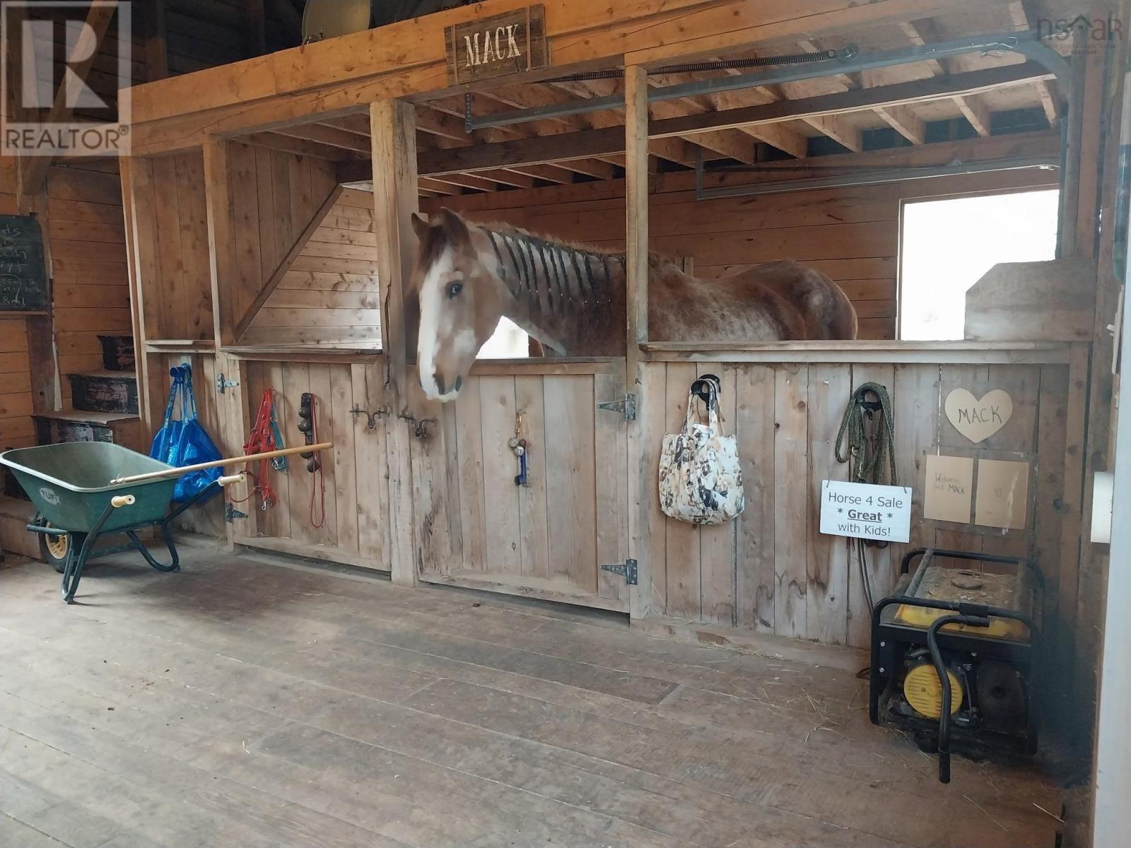 8622 Highway 209, Port Greville, Nova Scotia  B0M 1S0 - Photo 26 - 202608259