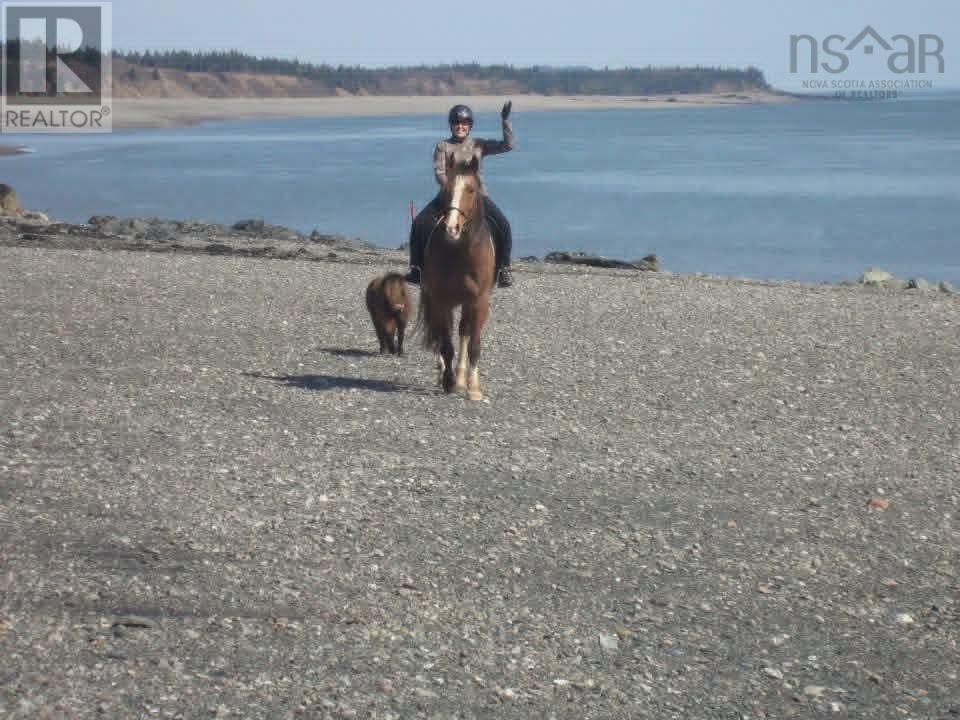 8622 Highway 209, Port Greville, Nova Scotia  B0M 1S0 - Photo 34 - 202608259