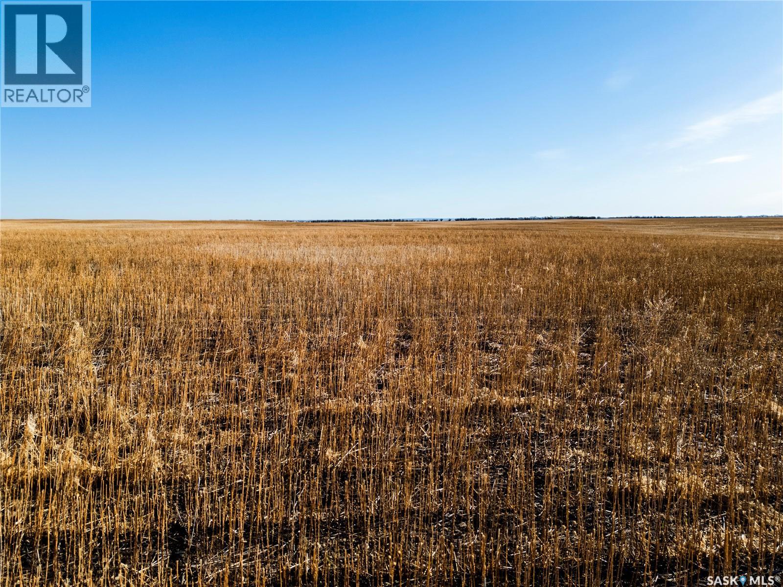1 Quarter Section Grainland Near Stalwart, Sk, Big Arm Rm No. 251, Saskatchewan  S0G 4R0 - Photo 10 - SK033759