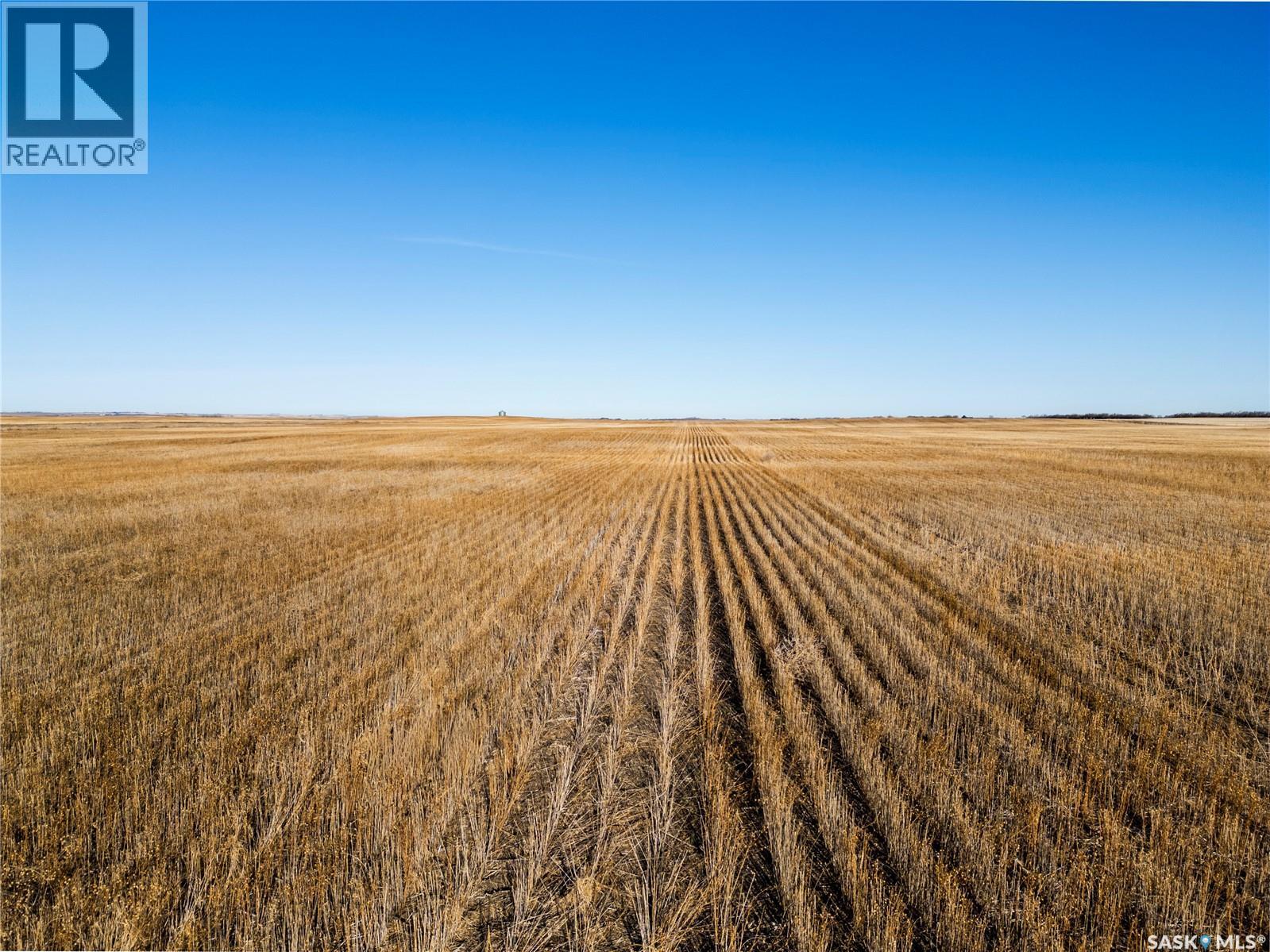 1 Quarter Section Grainland Near Stalwart, Sk, Big Arm Rm No. 251, Saskatchewan  S0G 4R0 - Photo 5 - SK033759
