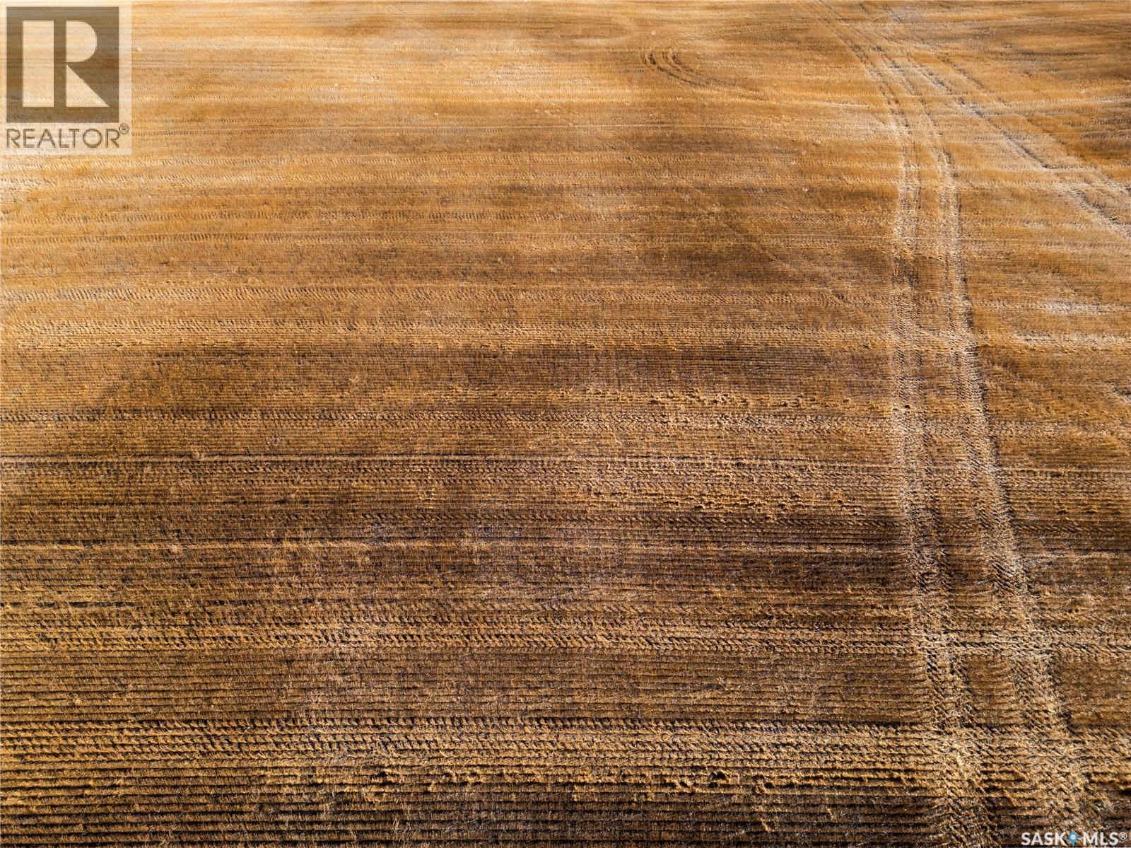 1 Quarter Section Grainland Near Stalwart, Sk, Big Arm Rm No. 251, Saskatchewan  S0G 4R0 - Photo 6 - SK033759