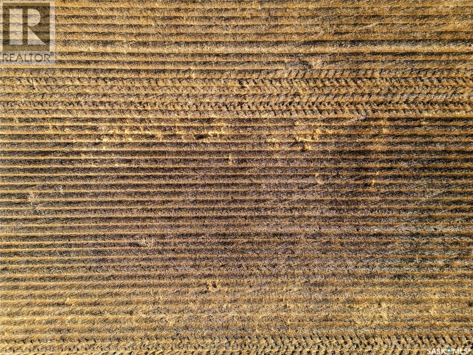 1 Quarter Section Grainland Near Stalwart, Sk, Big Arm Rm No. 251, Saskatchewan  S0G 4R0 - Photo 9 - SK033759