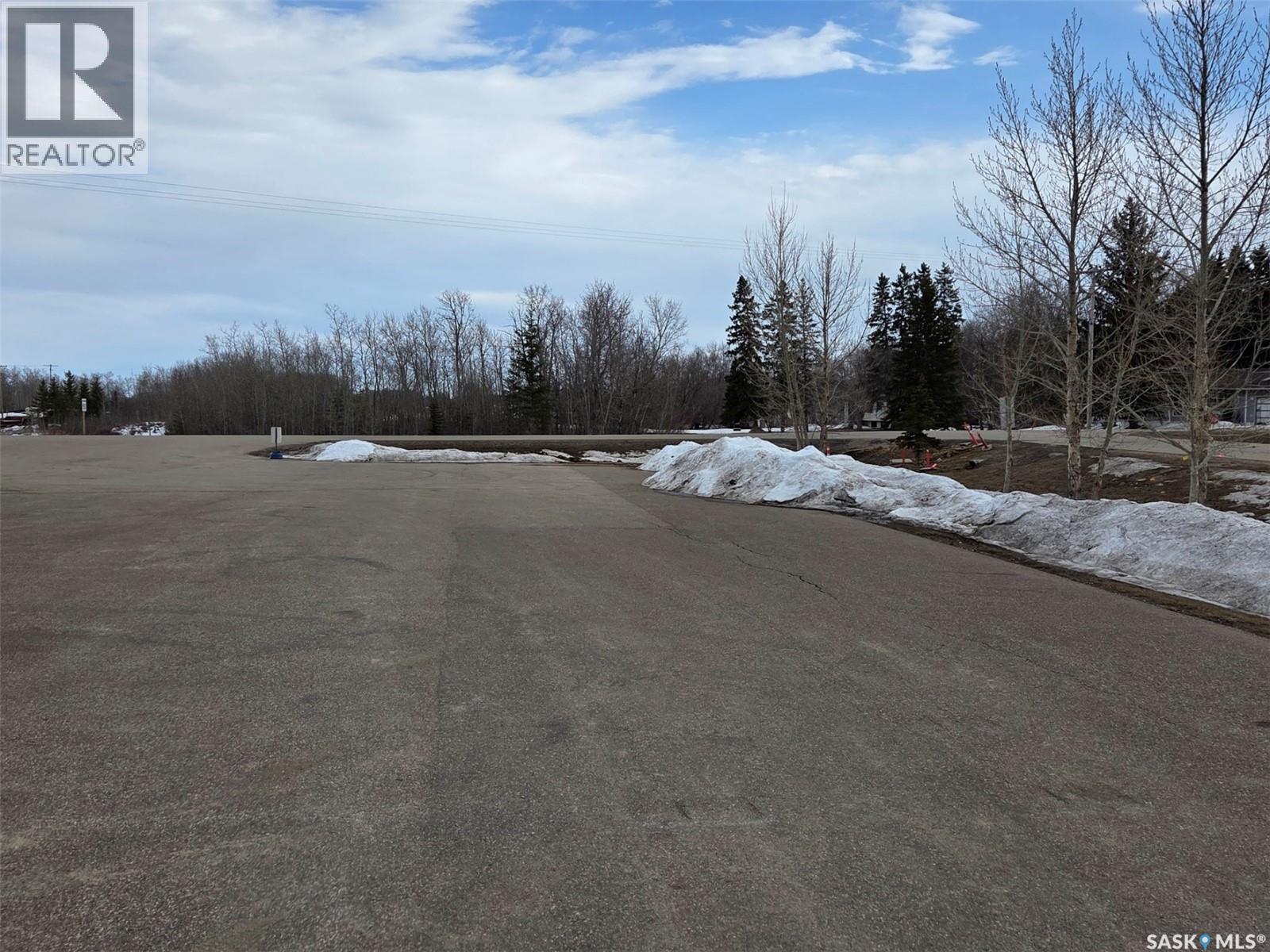 100 Railway Avenue, Middle Lake, Saskatchewan  S0K 2X0 - Photo 5 - SK033756