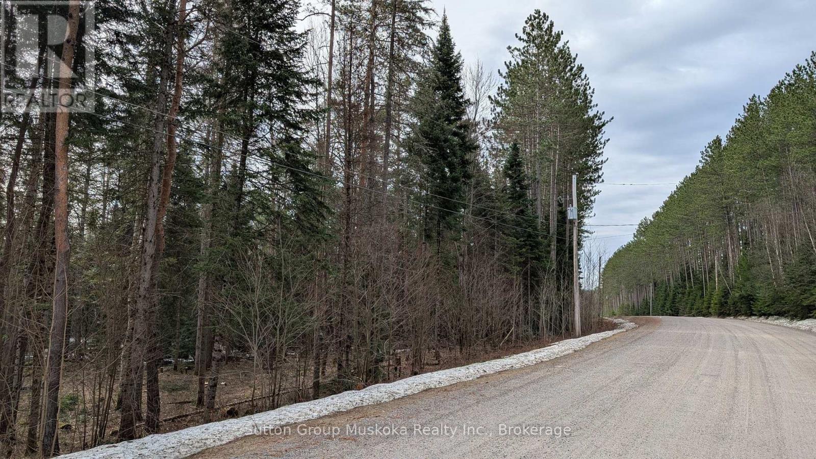 Lot 1 Red Pine Trail, Bracebridge, Ontario  P0B 1L0 - Photo 6 - X12943530