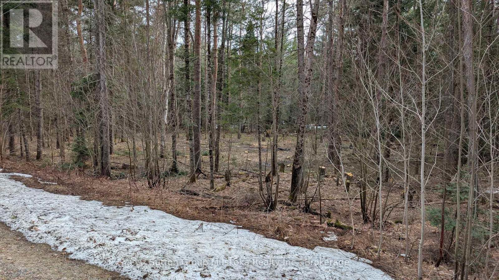 Lot 1 Red Pine Trail, Bracebridge, Ontario  P0B 1L0 - Photo 5 - X12943530