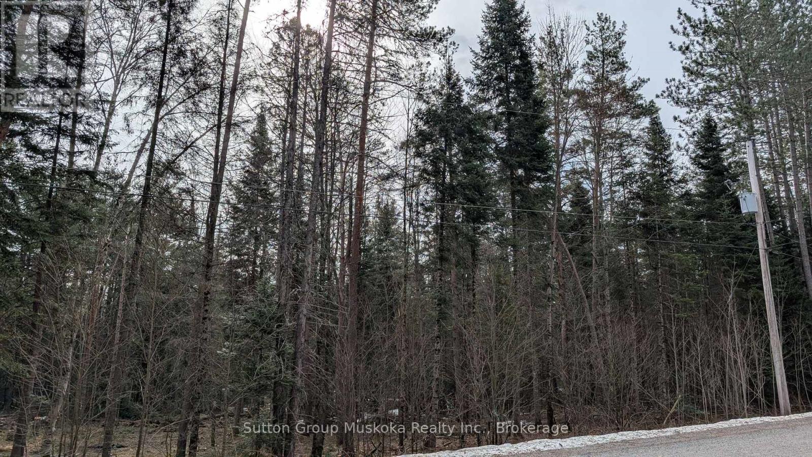 Lot 1 Red Pine Trail, Bracebridge, Ontario  P0B 1L0 - Photo 3 - X12943530
