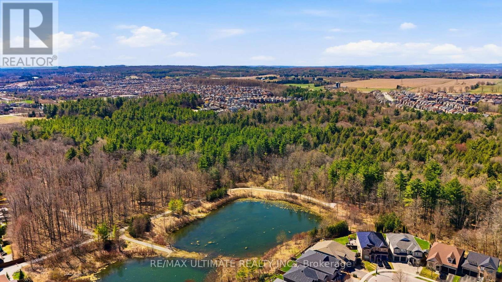 445 Woodspring Avenue, Newmarket, Ontario  L3X 3L1 - Photo 41 - N13036546