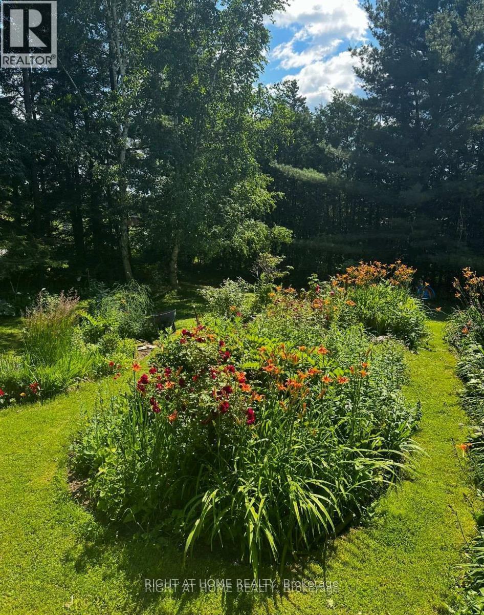 1628 Warminster Side Road, Oro-Medonte, Ontario  L0K 1E0 - Photo 36 - S13036496