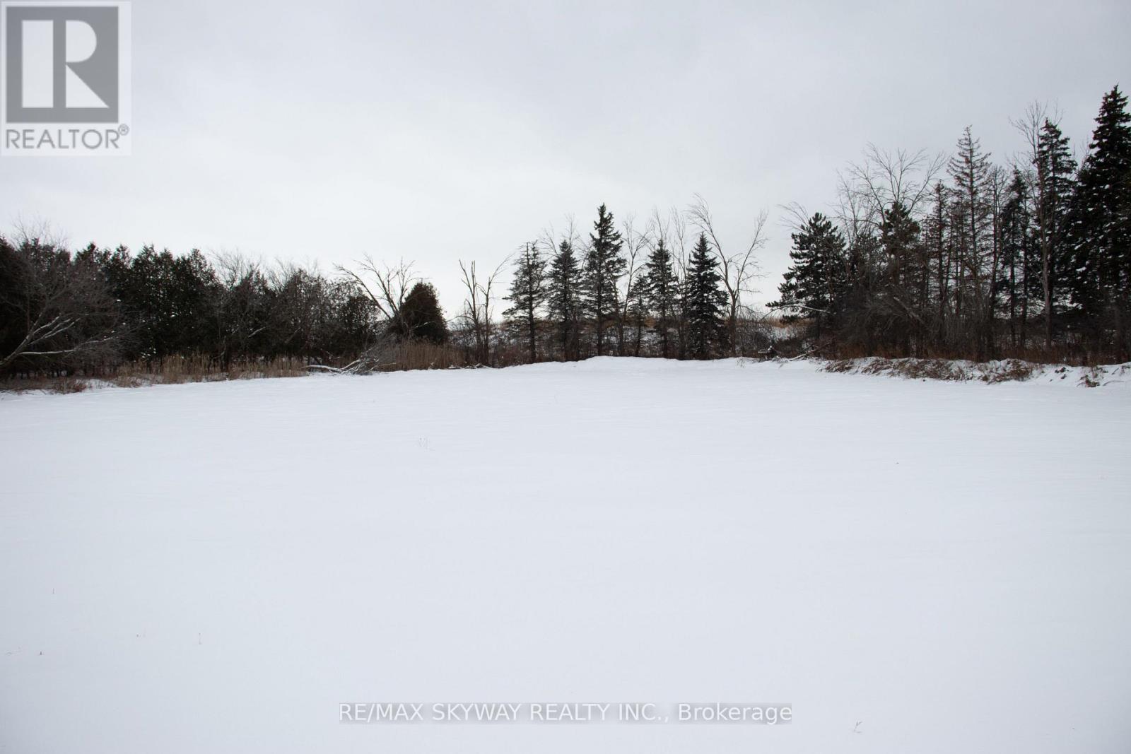 14182 Highway 50, Caledon, Ontario  L7E 3E2 - Photo 7 - W13036564