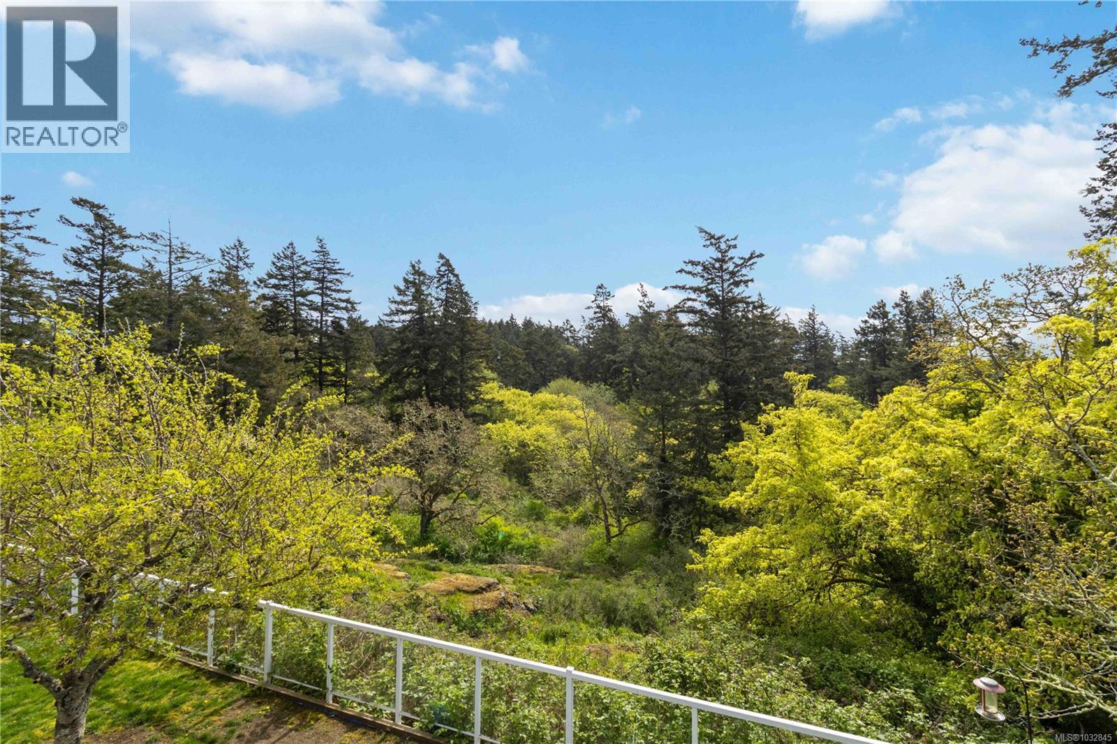 77 View Royal Ave, View Royal, British Columbia  V9B 1A6 - Photo 50 - 1032845