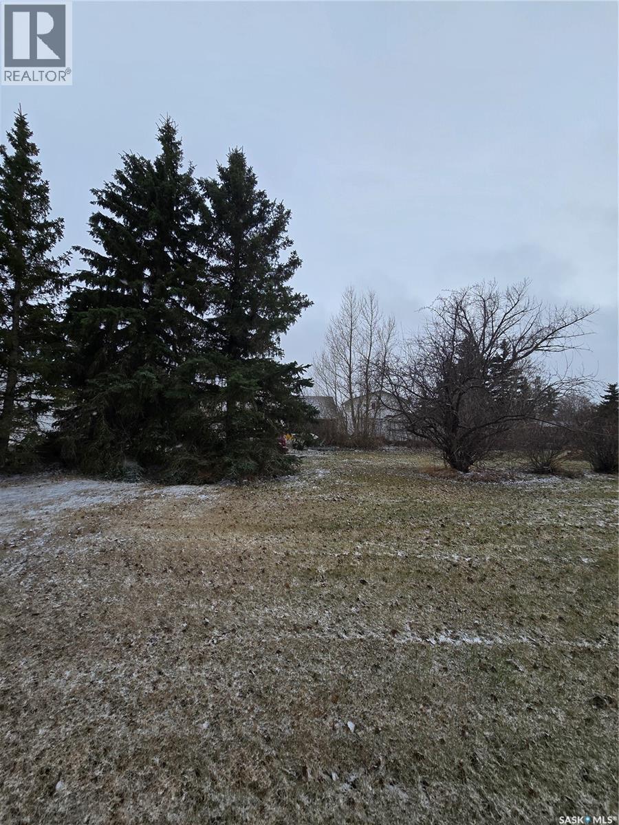 403 Assiniboia Avenue, Sedley, Saskatchewan  S0G 0J8 - Photo 4 - SK033698