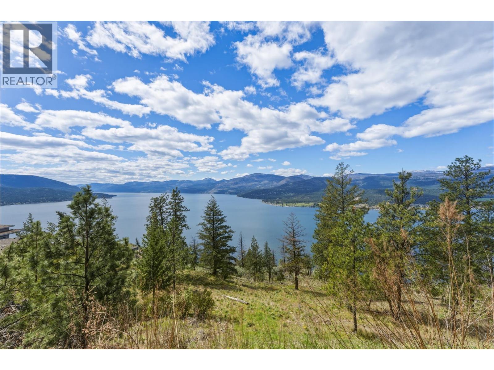 8964 Davidson Place, Vernon, British Columbia  V1H 2K9 - Photo 42 - 10383336