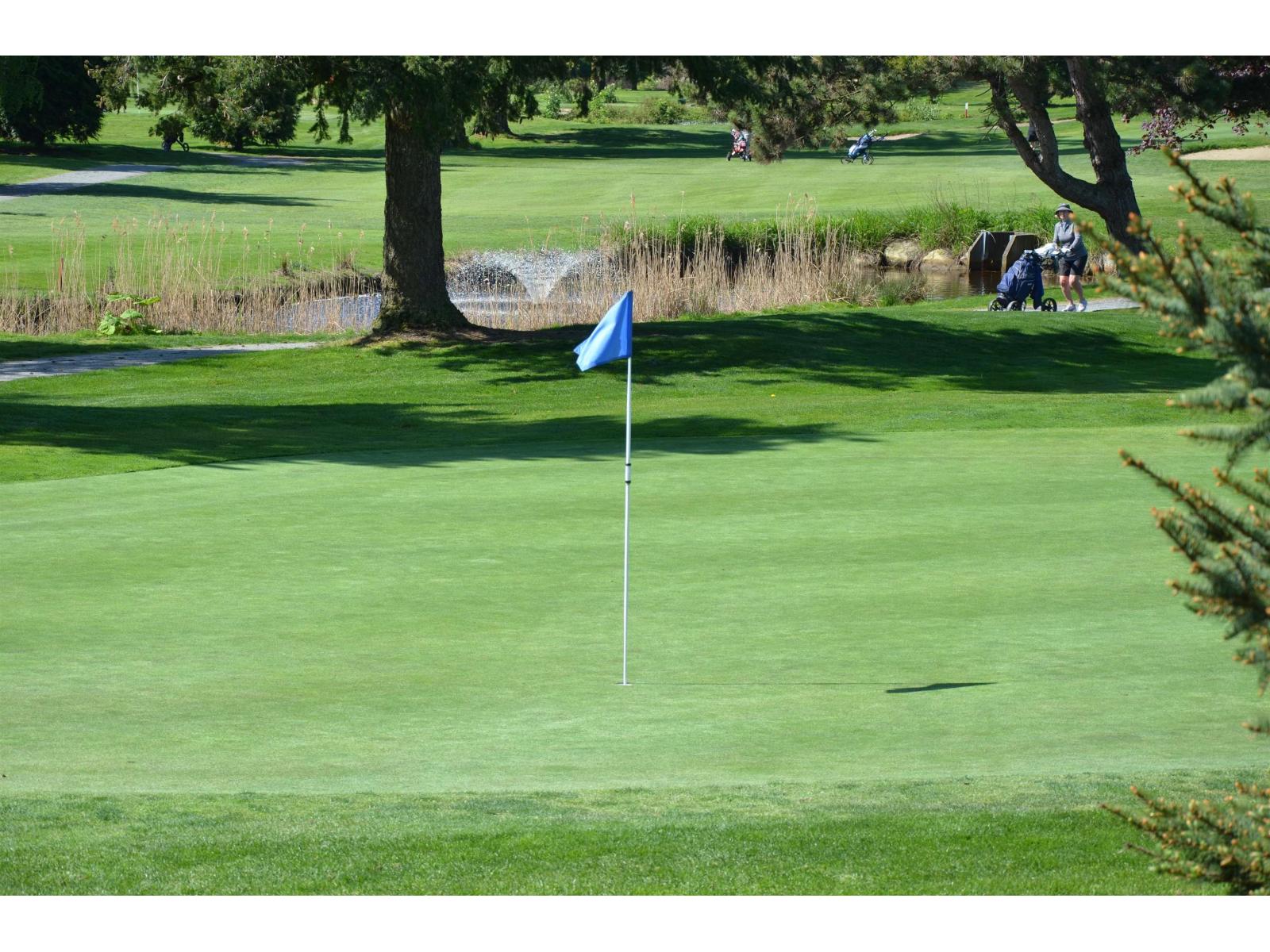 14208 36a Avenue, Surrey, British Columbia  V4P 0C2 - Photo 34 - R3115175