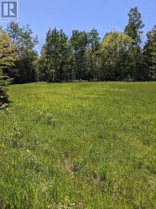 Pl9c15 Assiginack, South Bay Mouth, Ontario  P0P 1Z0 - Photo 10 - 2127295