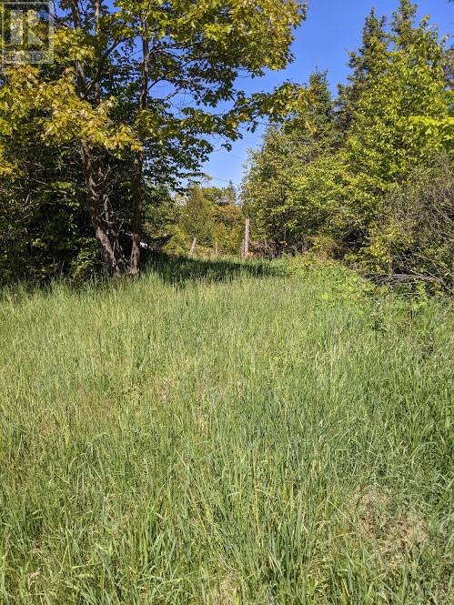 Pl9c15 Assiginack, South Bay Mouth, Ontario  P0P 1Z0 - Photo 11 - 2127295