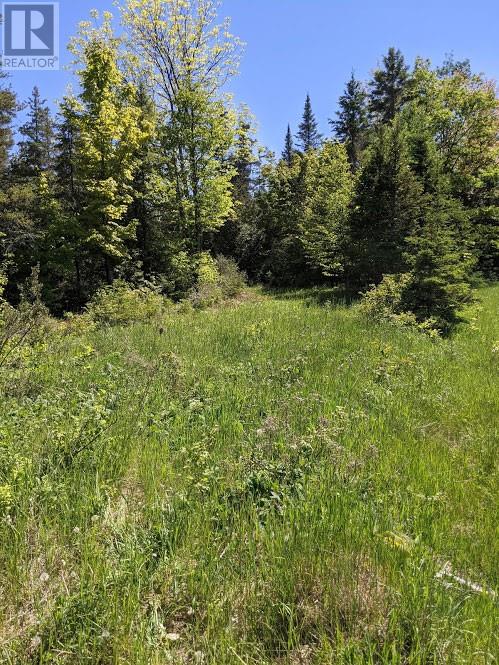 Pl9c15 Assiginack, South Bay Mouth, Ontario  P0P 1Z0 - Photo 12 - 2127295