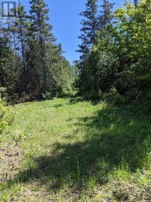 Pl9c15 Assiginack, South Bay Mouth, Ontario  P0P 1Z0 - Photo 13 - 2127295