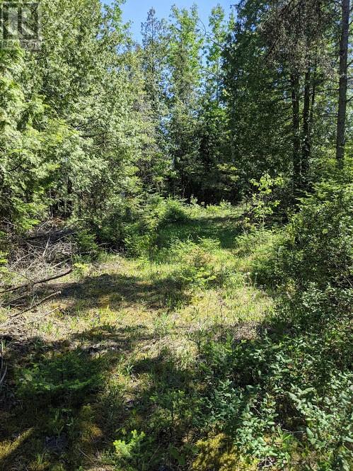 Pl9c15 Assiginack, South Bay Mouth, Ontario  P0P 1Z0 - Photo 14 - 2127295