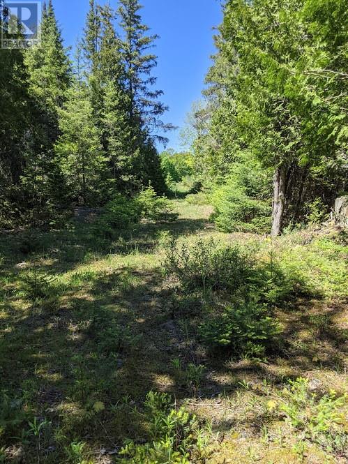 Pl9c15 Assiginack, South Bay Mouth, Ontario  P0P 1Z0 - Photo 15 - 2127295