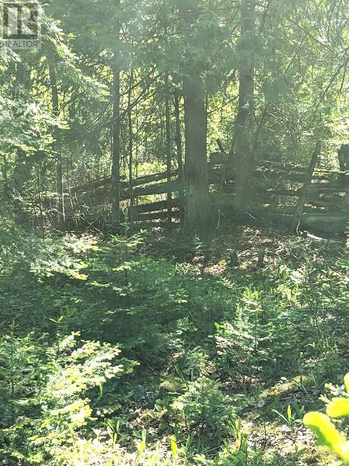 Pl9c15 Assiginack, South Bay Mouth, Ontario  P0P 1Z0 - Photo 17 - 2127295