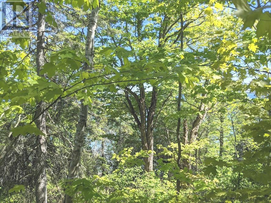 Pl9c15 Assiginack, South Bay Mouth, Ontario  P0P 1Z0 - Photo 18 - 2127295