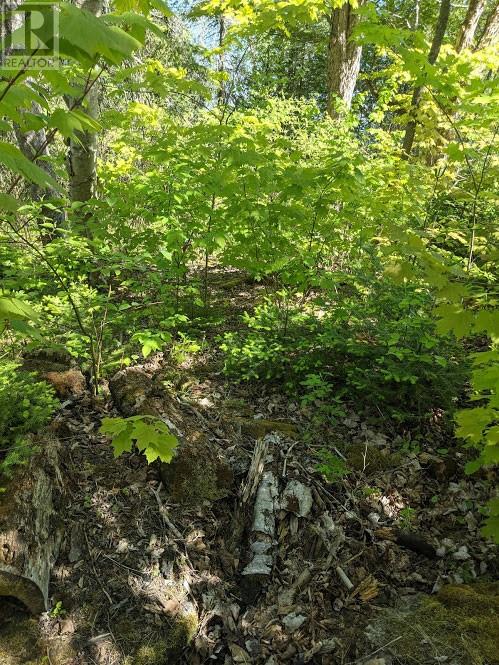 Pl9c15 Assiginack, South Bay Mouth, Ontario  P0P 1Z0 - Photo 19 - 2127295