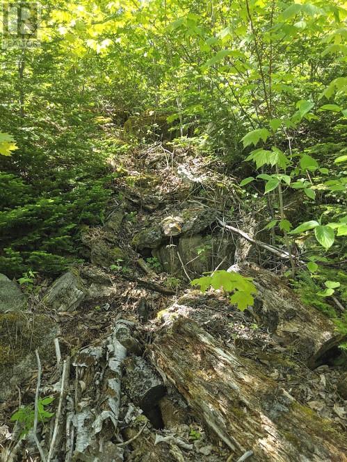 Pl9c15 Assiginack, South Bay Mouth, Ontario  P0P 1Z0 - Photo 20 - 2127295