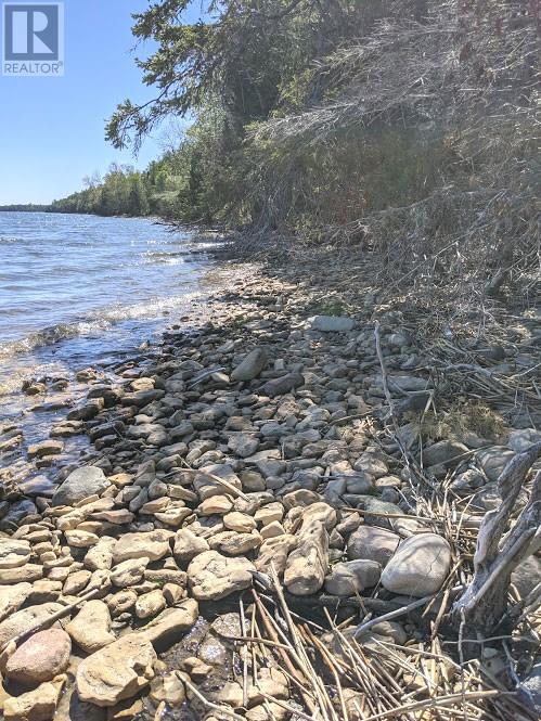 Pl9c15 Assiginack, South Bay Mouth, Ontario  P0P 1Z0 - Photo 25 - 2127295