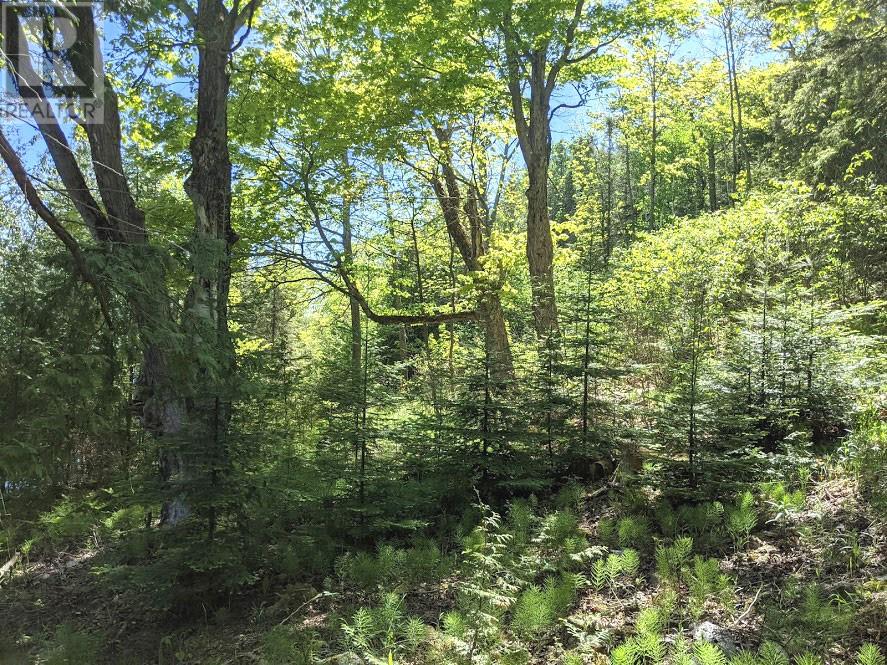 Pl9c15 Assiginack, South Bay Mouth, Ontario  P0P 1Z0 - Photo 27 - 2127295