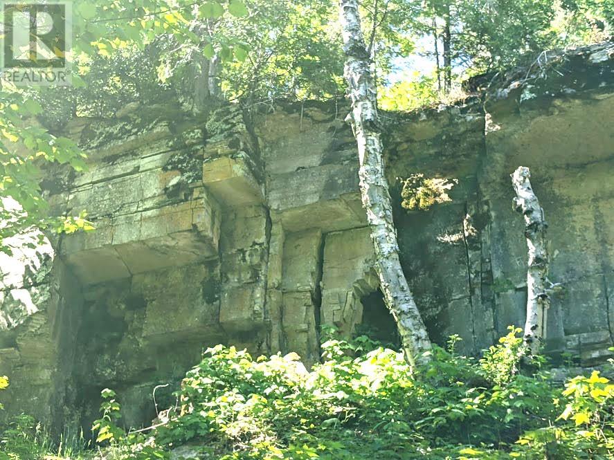 Pl9c15 Assiginack, South Bay Mouth, Ontario  P0P 1Z0 - Photo 29 - 2127295