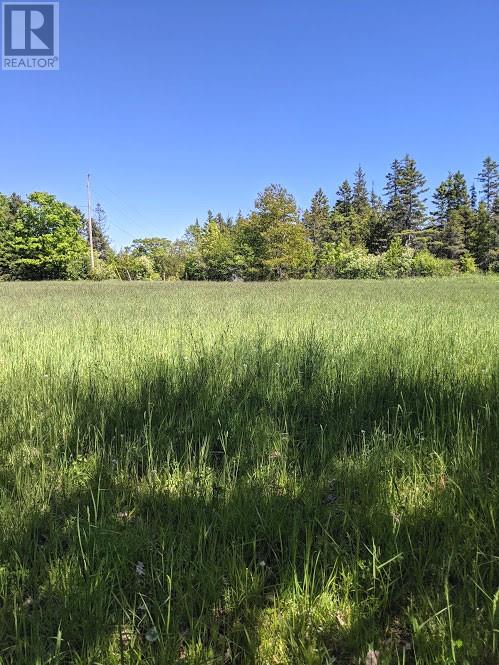 Pl9c15 Assiginack, South Bay Mouth, Ontario  P0P 1Z0 - Photo 8 - 2127295