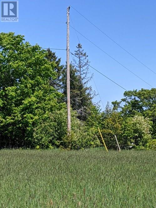 Pl9c15 Assiginack, South Bay Mouth, Ontario  P0P 1Z0 - Photo 9 - 2127295