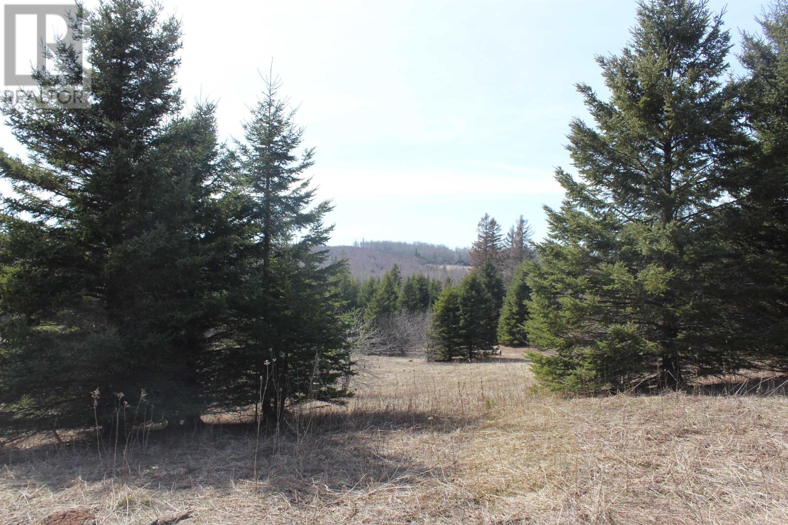 Lot 25-1 Dixon Road, Breadalbane, Prince Edward Island  C0A 1B0 - Photo 5 - 202608400
