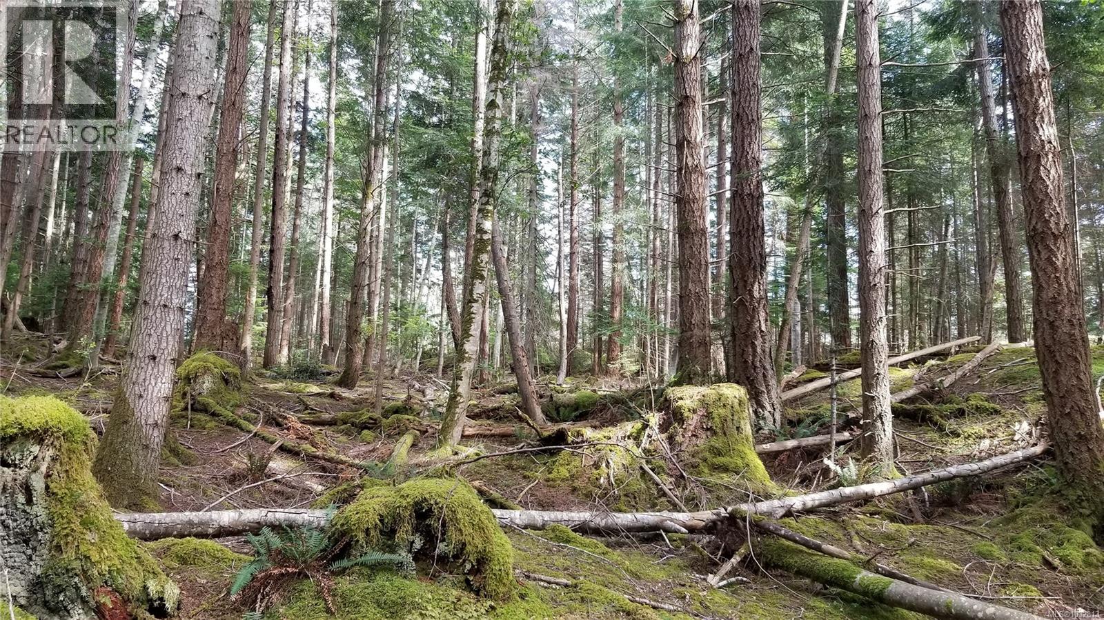 A Millicheap Rd, Lasqueti Island, British Columbia  V0R 2J0 - Photo 10 - 1032813