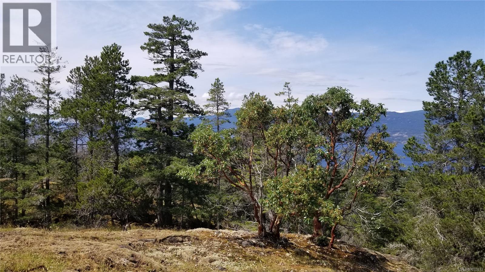 A Millicheap Rd, Lasqueti Island, British Columbia  V0R 2J0 - Photo 4 - 1032813